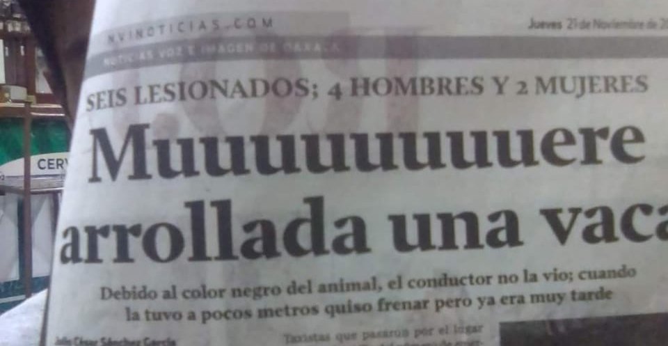 Primera plana de periÃ³dico impreso con titular que dice: Muuuuuuuuuuuere arrollada una vaca